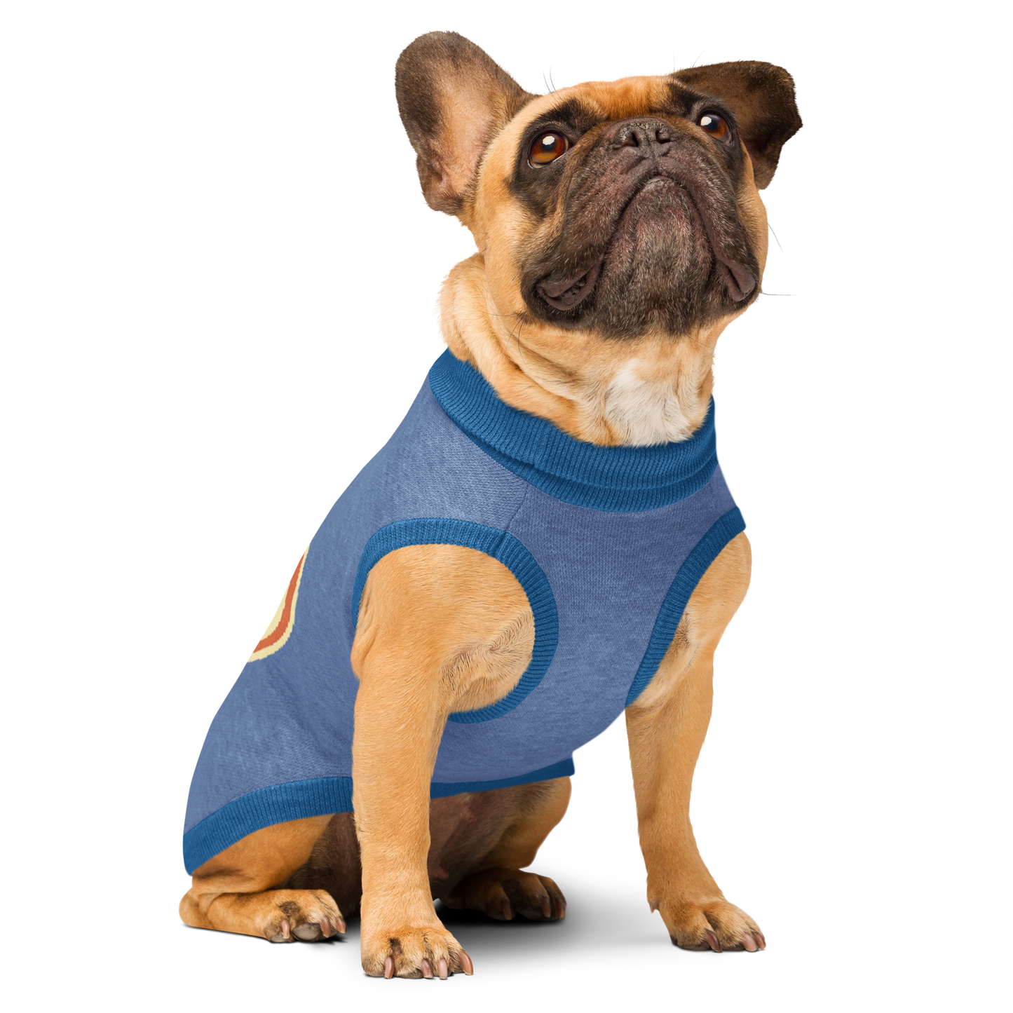 Sweat tricoté pour chien