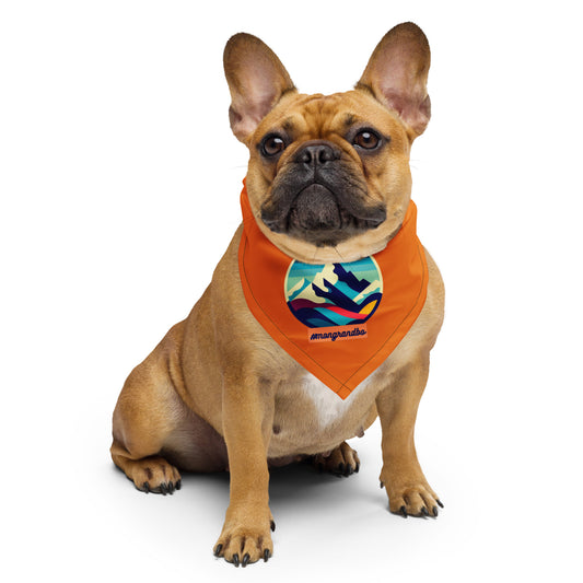 Bandana pour chien #mongrandbo