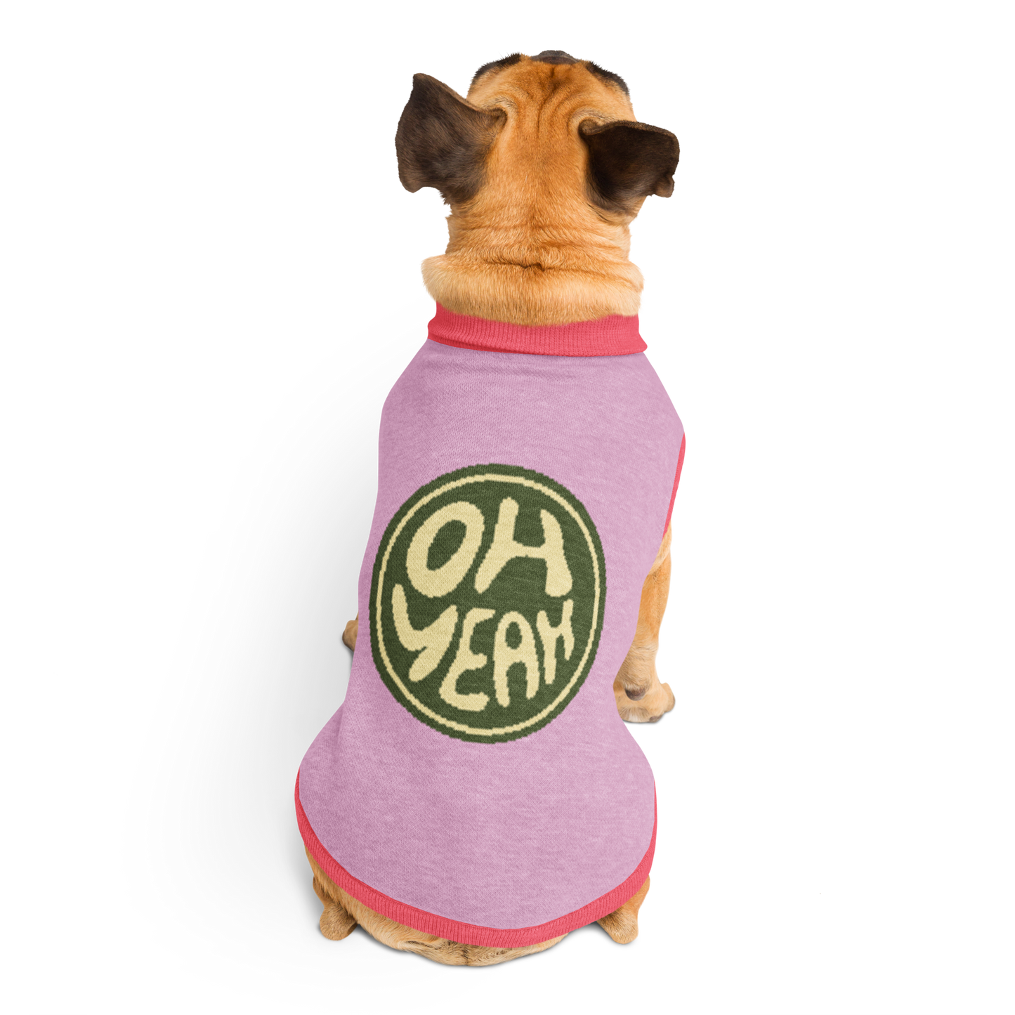 Sweat tricoté pour chien