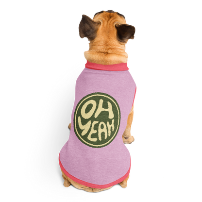 Sweat tricoté pour chien