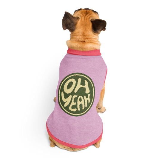 Sweat tricoté pour chien