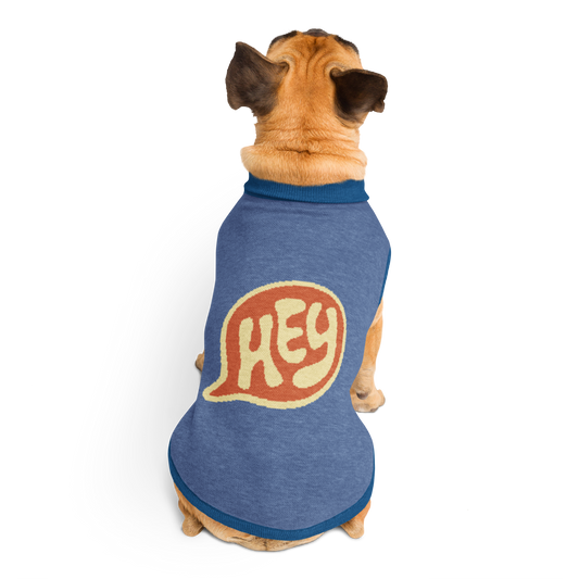 Sweat tricoté pour chien