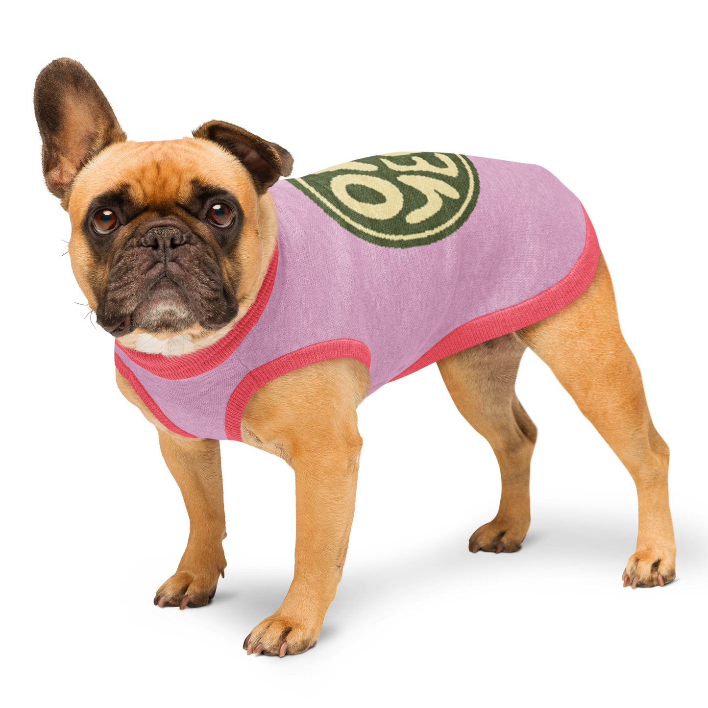 Sweat tricoté pour chien