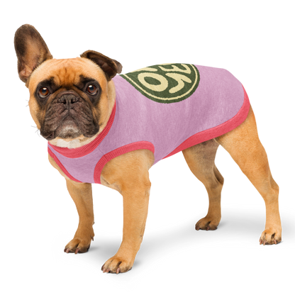 Sweat tricoté pour chien