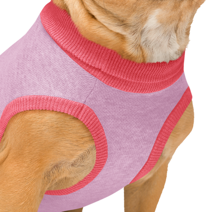 Sweat tricoté pour chien