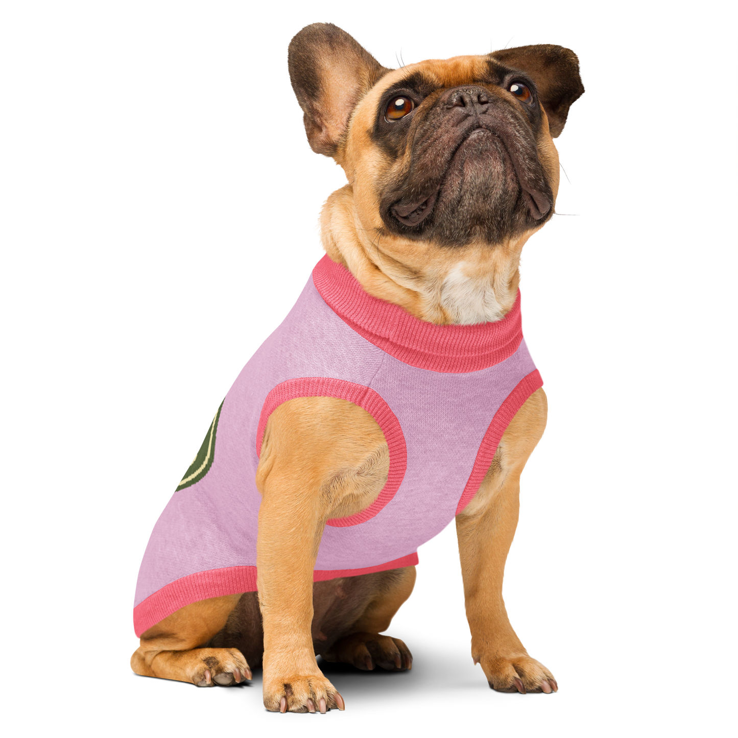 Sweat tricoté pour chien