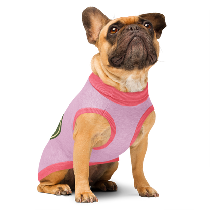 Sweat tricoté pour chien